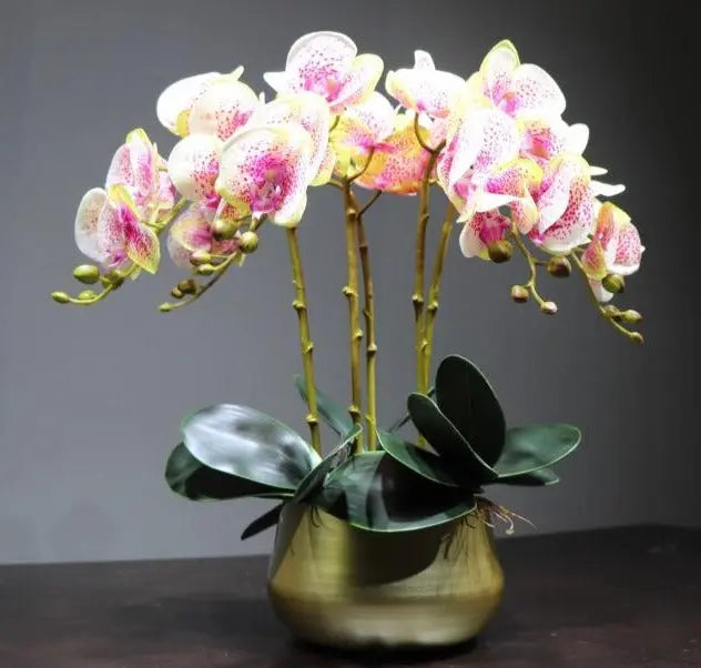 Flora Orchid Arrangement with Vase freeshipping - Decorfaure