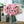 Cargar imagen en el visor de la galería, 27 Heads Silk Rose Bouquet freeshipping - Decorfaure
