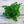 Laden Sie das Bild in den Galerie-Viewer, 28 Heads Succulents freeshipping - Decorfaure
