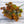 Cargar imagen en el visor de la galería, 28 Heads Succulents freeshipping - Decorfaure

