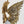 Cargar imagen en el visor de la galería, Angel freeshipping - Decorfaure
