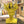 Charger l&#39;image dans la galerie, Antra Head Flower Vase freeshipping - Decorfaure
