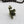 Cargar imagen en el visor de la galería, Brass Meditating Frog freeshipping - Decorfaure
