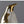 Cargar imagen en el visor de la galería, Bunch of Penguins freeshipping - Decorfaure
