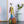 Laden Sie das Bild in den Galerie-Viewer, Colourful Girl freeshipping - Decorfaure
