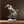 Laden Sie das Bild in den Galerie-Viewer, Dove Ceramic Vase with Orchid freeshipping - Decorfaure
