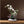 Load image into Gallery viewer, Dove Ceramic Vase with Orchid freeshipping - Decorfaure
