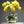 Cargar imagen en el visor de la galería, Flora Orchid Arrangement with Vase freeshipping - Decorfaure
