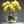 Charger l&#39;image dans la galerie, Flora Orchid Arrangement with Vase freeshipping - Decorfaure
