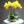 Laden Sie das Bild in den Galerie-Viewer, Flora Orchid Arrangement with Vase freeshipping - Decorfaure
