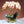 Cargar imagen en el visor de la galería, Flora Orchid Arrangement with Vase freeshipping - Decorfaure
