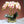 Laden Sie das Bild in den Galerie-Viewer, Flora Orchid Arrangement with Vase freeshipping - Decorfaure
