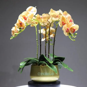 Flora Orchid Arrangement with Vase freeshipping - Decorfaure