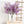 Laden Sie das Bild in den Galerie-Viewer, Gypsophila Artificial Flowers freeshipping - Decorfaure
