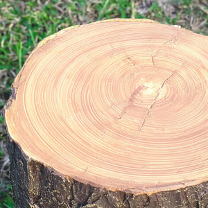 Tree Stump Outdoor Light Decorfaure