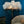 Cargar imagen en el visor de la galería, Kalimera Feather Floor/Table Lamp freeshipping - Decorfaure

