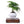 Cargar imagen en el visor de la galería, Levitating Bonsai Planter freeshipping - Decorfaure
