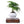 Laden Sie das Bild in den Galerie-Viewer, Levitating Bonsai Planter freeshipping - Decorfaure
