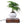 Cargar imagen en el visor de la galería, Levitating Bonsai Planter freeshipping - Decorfaure
