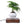 Load image into Gallery viewer, Levitating Bonsai Planter freeshipping - Decorfaure
