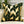 Charger l&#39;image dans la galerie, Mirage Cushion Covers freeshipping - Decorfaure
