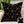 Load image into Gallery viewer, Mirage Cushion Covers freeshipping - Decorfaure
