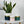 Charger l&#39;image dans la galerie, Modern Flower Pot with Gold Rim freeshipping - Decorfaure
