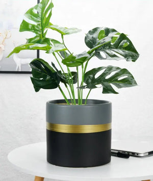 Modern Flower Pot with Gold Rim freeshipping - Decorfaure