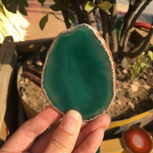 Natural Green Agate Coasters freeshipping - Decorfaure