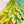 Cargar imagen en el visor de la galería, Peacock freeshipping - Decorfaure
