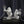 Load image into Gallery viewer, Mini Gorilla Night Lamp Decorfaure
