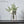 Laden Sie das Bild in den Galerie-Viewer, Scandinavian Minimalist Pot freeshipping - Decorfaure
