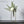Laden Sie das Bild in den Galerie-Viewer, Scandinavian Minimalist Pot freeshipping - Decorfaure
