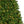 Cargar imagen en el visor de la galería, Evergreen Christmas Tree With Lights
