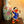 Laden Sie das Bild in den Galerie-Viewer, Donald Duck Figurine Decorfaure

