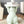 Laden Sie das Bild in den Galerie-Viewer, Rabbit Statue Table Decorfaure
