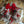 Load image into Gallery viewer, Christmas Wreath Set Decorfaure
